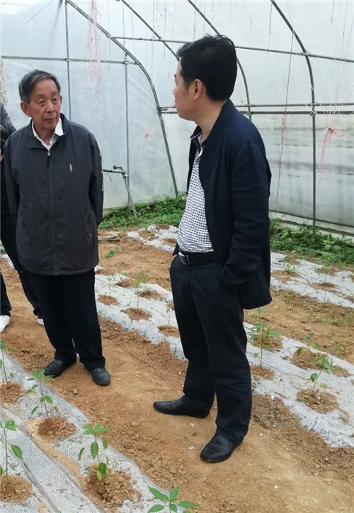 ũ��ר����������ͷָ������ũ��