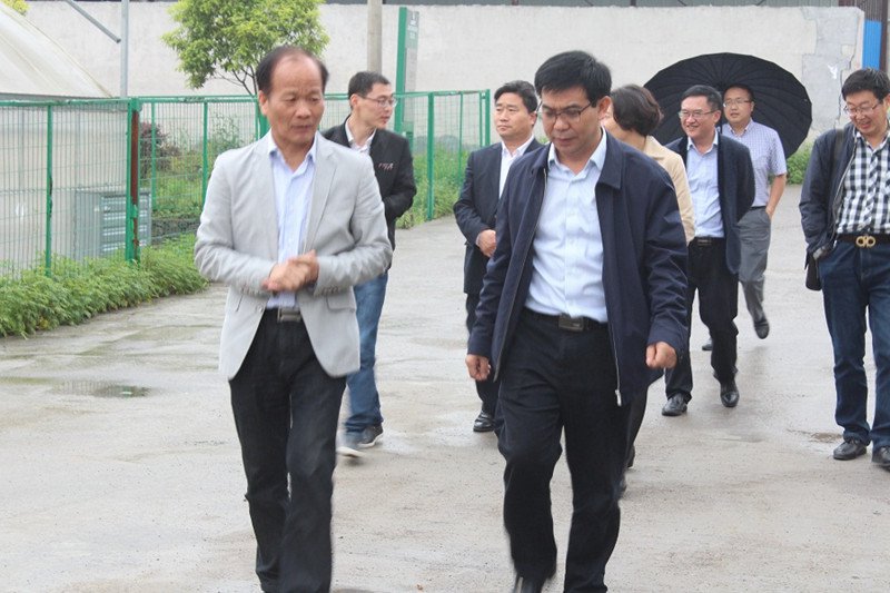 ʡίͳս�������ҵָ�����ĵ����鵽�⸣��ҵ����