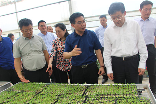 �����ص���ڻ������»���ϯ��ѧ��ݰ�ٶ���ר�Ҵ�Ժ����