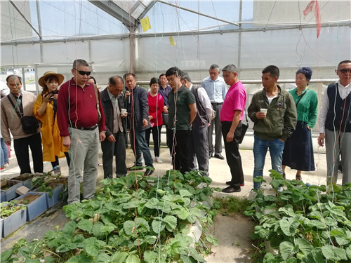 ����ũҵ�Ƽ�ʾ��԰�ֳ�����ʾ����Ħ�