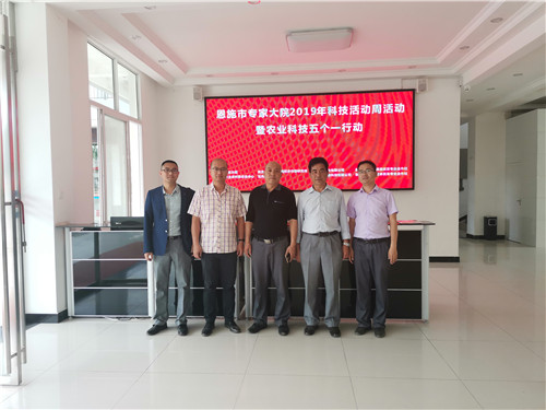 2019��ר�Ҵ�Ժ�Ƽ�������⣺�Ƽ�ʹ�߽�����