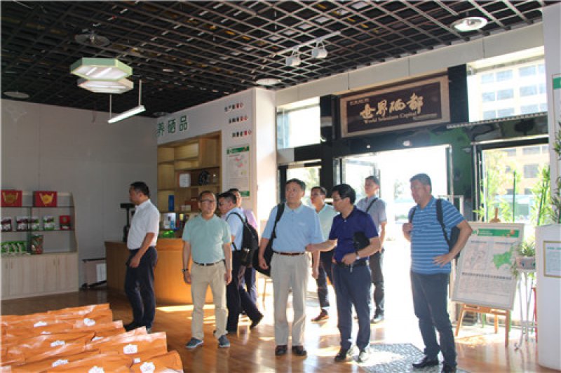 �������˻�С�ֲ�ʿ���⸣��ҵ�������ָ������