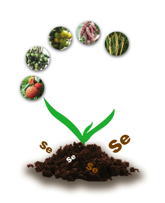 ��ʩΪʲô�ơ�������������